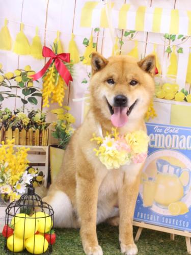 20240402シヴァくん